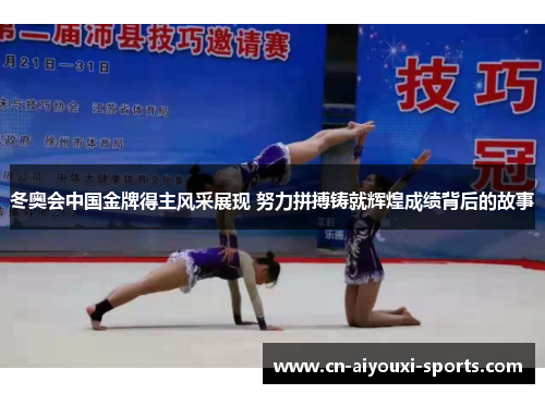 冬奥会中国金牌得主风采展现 努力拼搏铸就辉煌成绩背后的故事